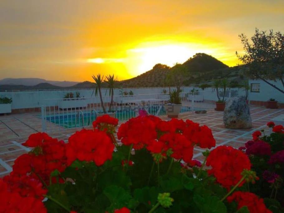 Vivienda Rural Las Bartolas Хаэн Экстерьер фото